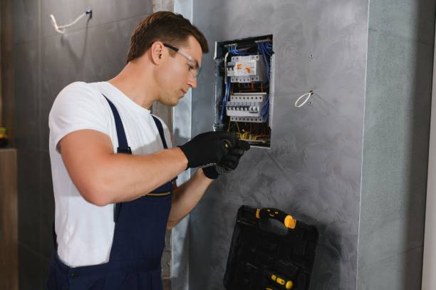 Best Electrical Upgrades for Homes  in Allegan, MI