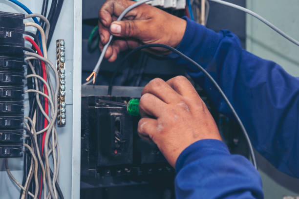 Best Industrial Electrical Services  in Allegan, MI