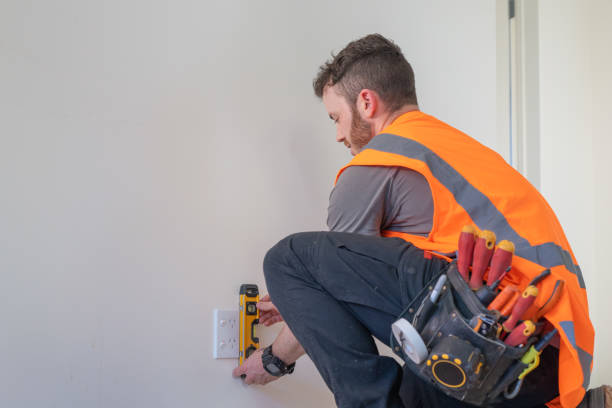 Best 24-Hour Electrician  in Allegan, MI