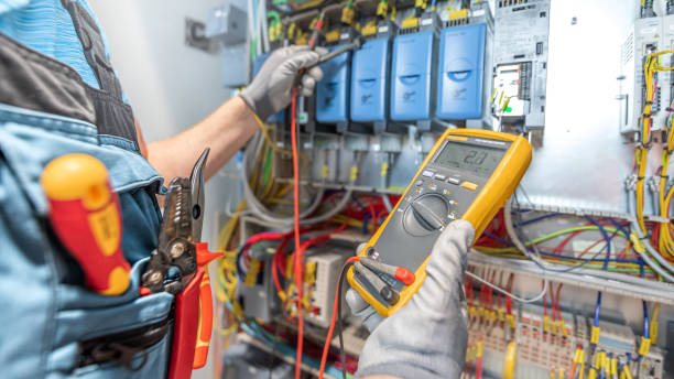 Best Electric Panel Repair  in Allegan, MI