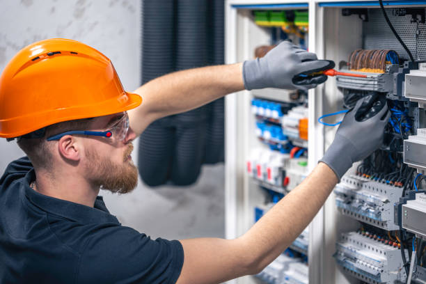 Best Electrical Repair Services  in Allegan, MI