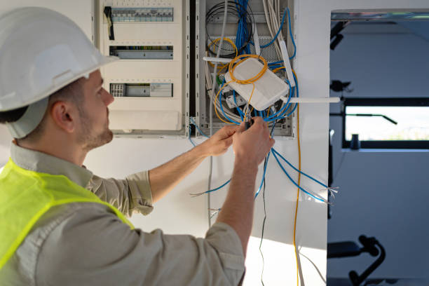 Best Licensed Electrician  in Allegan, MI